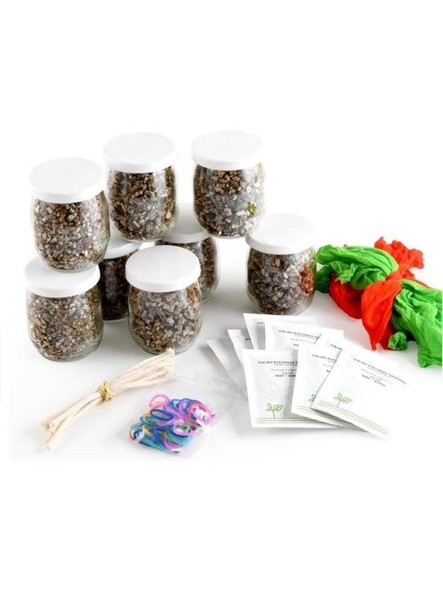 Coffret diy - mr patate à faire pousser - Kiabi