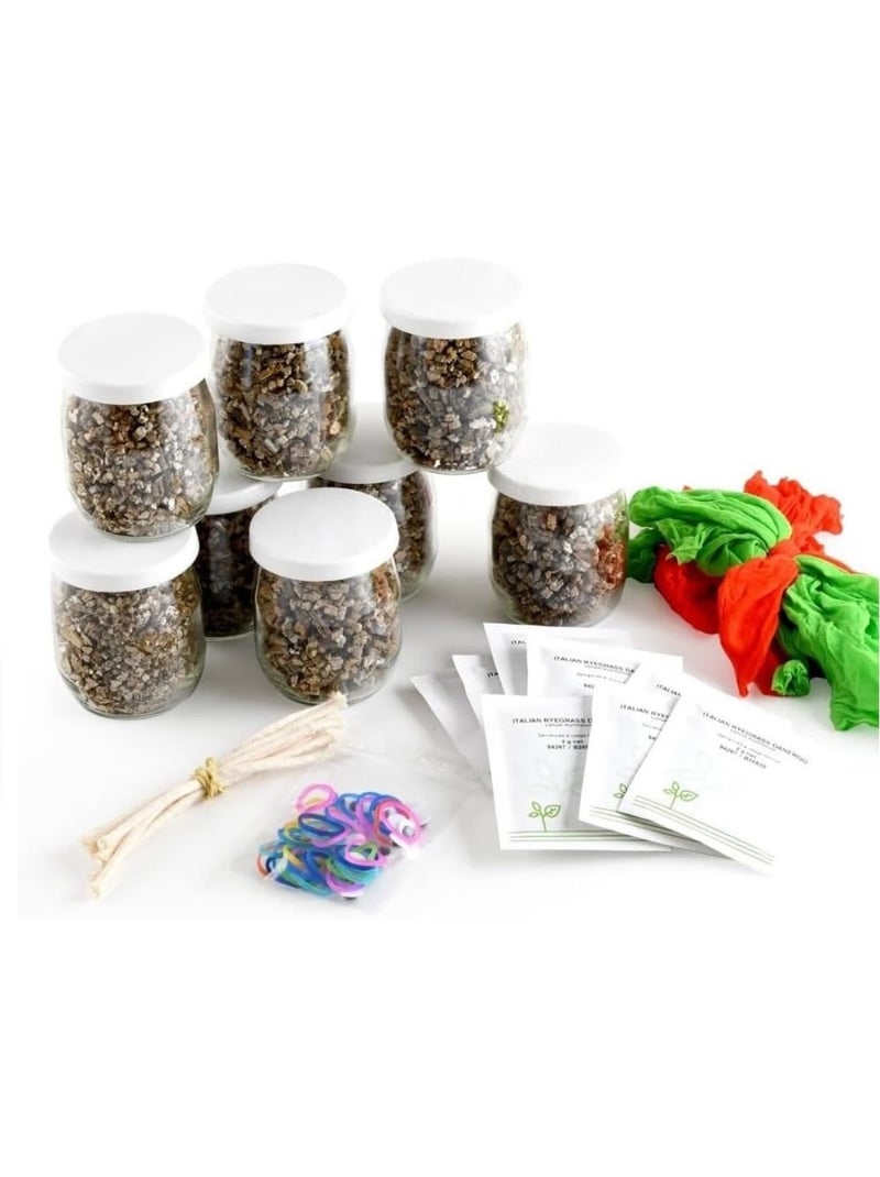 Coffret diy - mr patate à faire pousser Orange - Kiabi