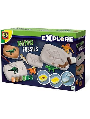 Coffret Explore : Fossiles de dinosaures
