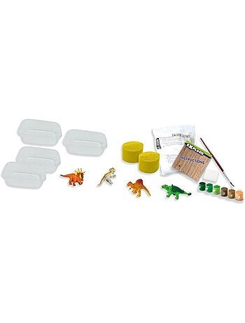 Coffret Explore : Fossiles de dinosaures