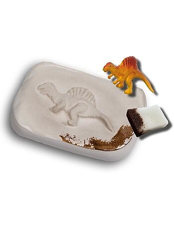 Coffret Explore : Fossiles de dinosaures