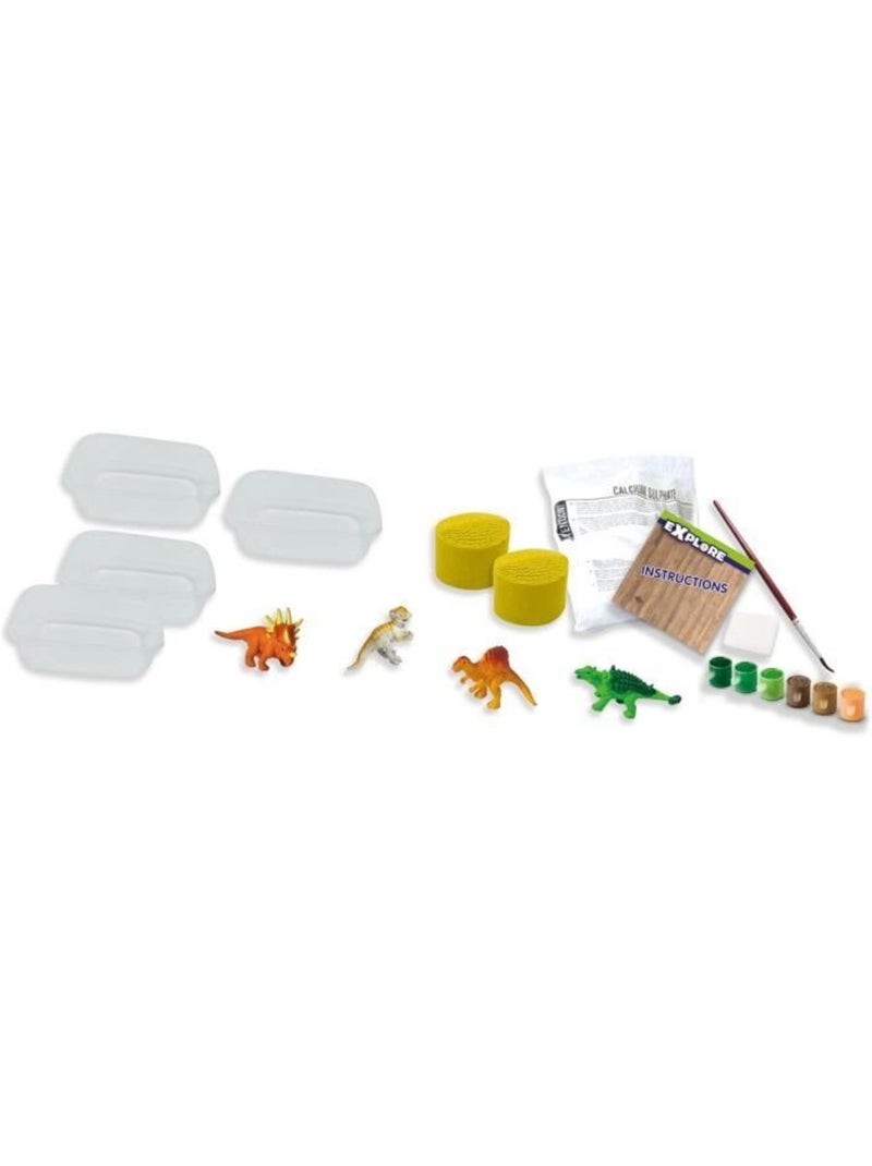 Coffret Explore : Fossiles de dinosaures Marron - Kiabi