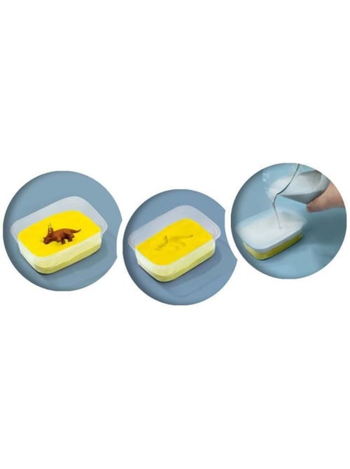 Coffret Explore : Fossiles de dinosaures - Kiabi