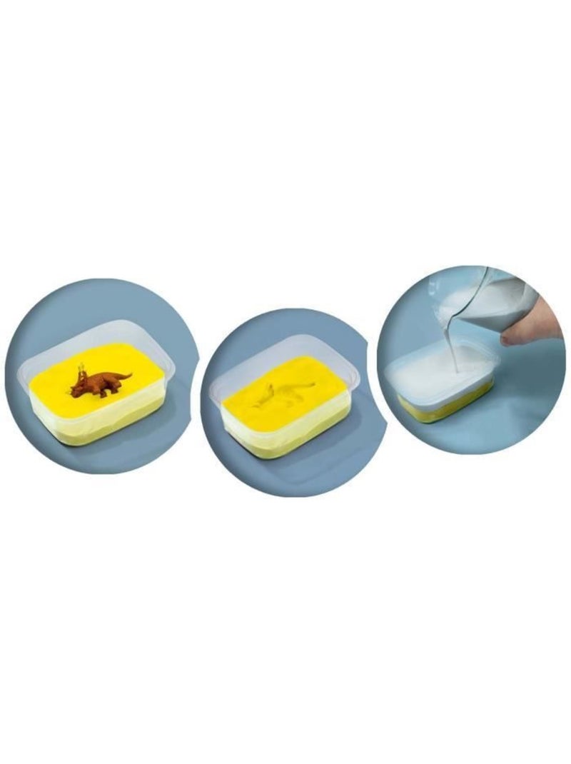 Coffret Explore : Fossiles de dinosaures Marron - Kiabi