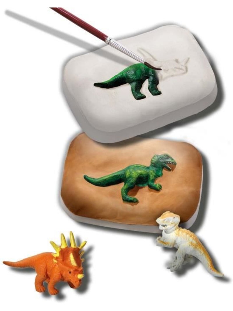 Coffret Explore : Fossiles de dinosaures Marron - Kiabi
