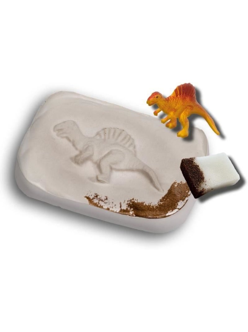 Coffret Explore : Fossiles de dinosaures Marron - Kiabi