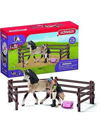 Coffret figurines - kit de soin chevaux andalous 9 pièces - schleich horse club