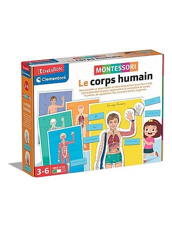 Coffret Le corps humain - Montessori - Kiabi