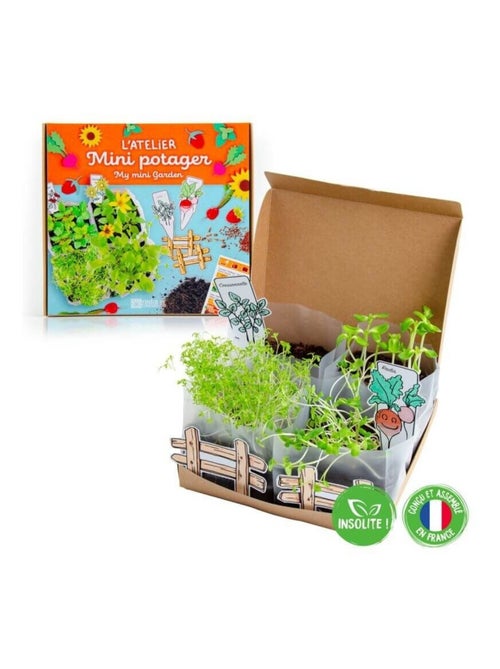 Coffret Mini Potager - Kiabi