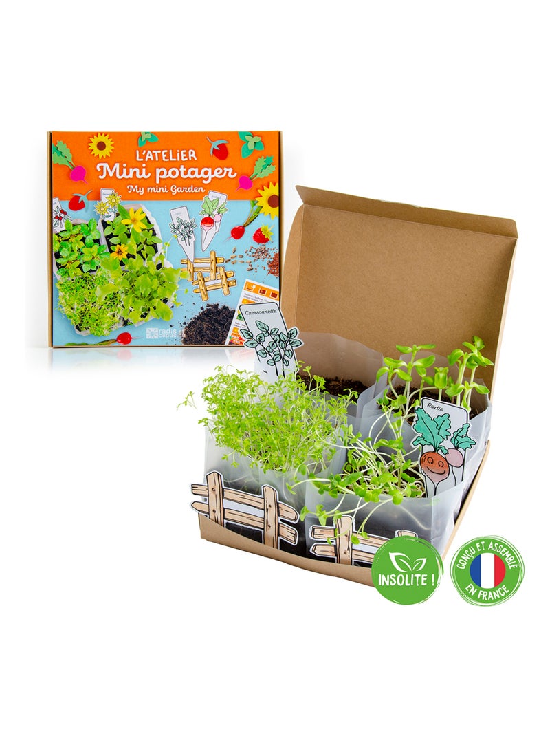 Coffret Mini Potager Vert - Kiabi