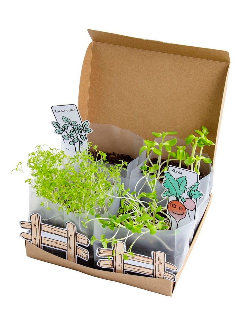 Coffret Mini Potager Vert - Kiabi