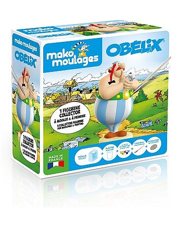 Coffret moulage Collector Obélix