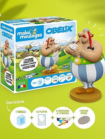 Coffret moulage Collector Obélix