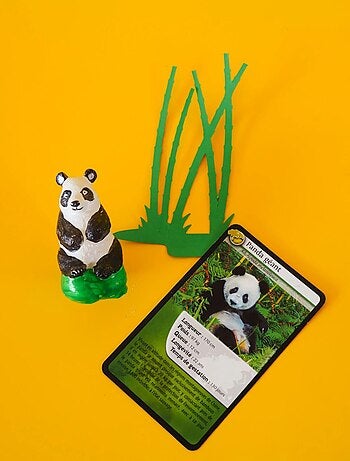 Coffret moulage Panda géant