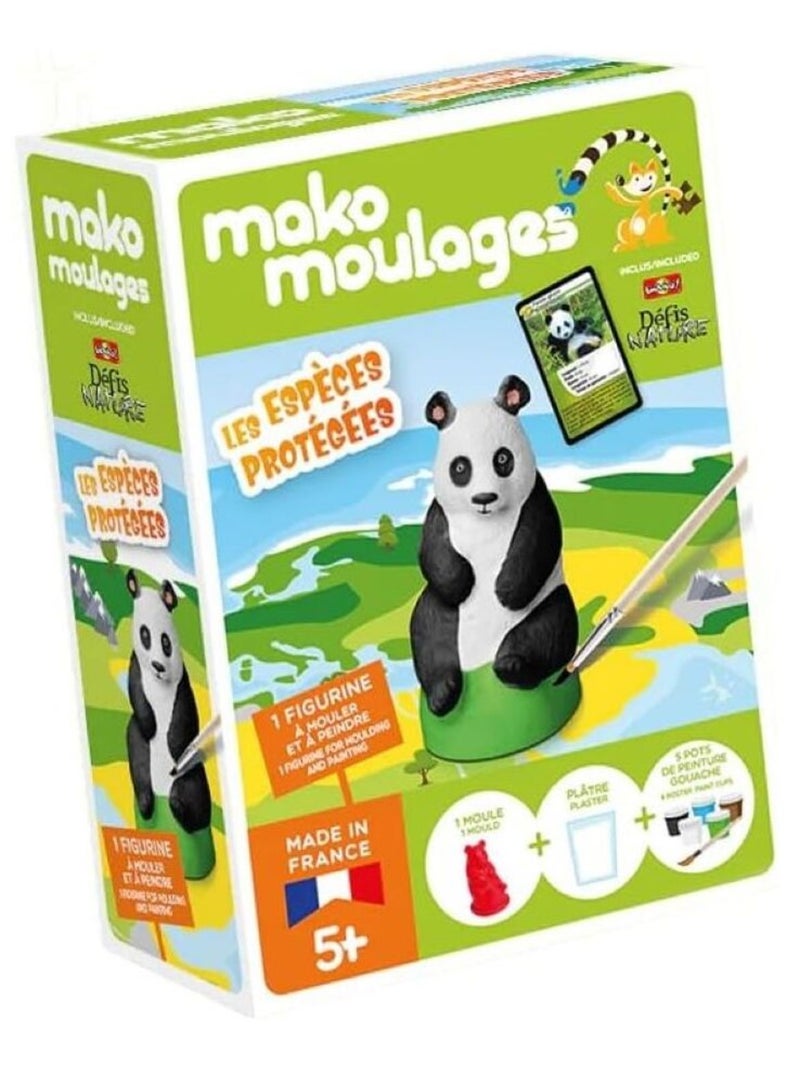 Coffret moulage Panda géant Vert - Kiabi