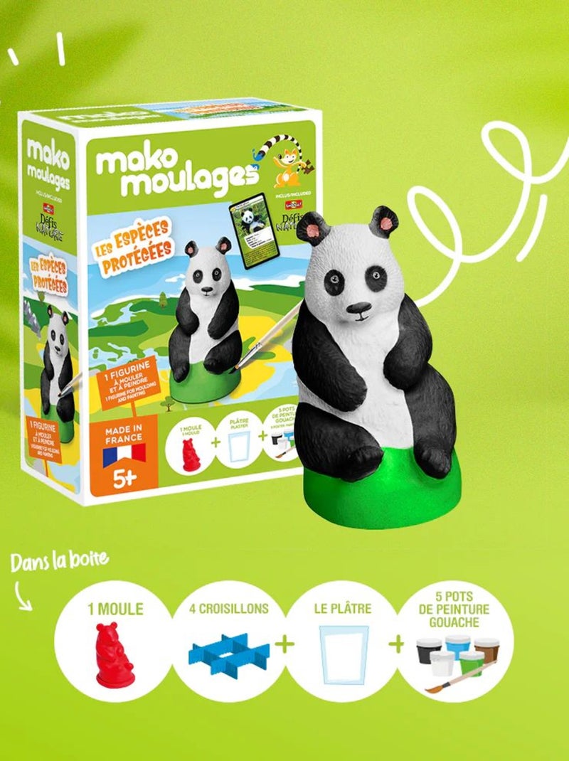 Coffret moulage Panda géant Vert - Kiabi