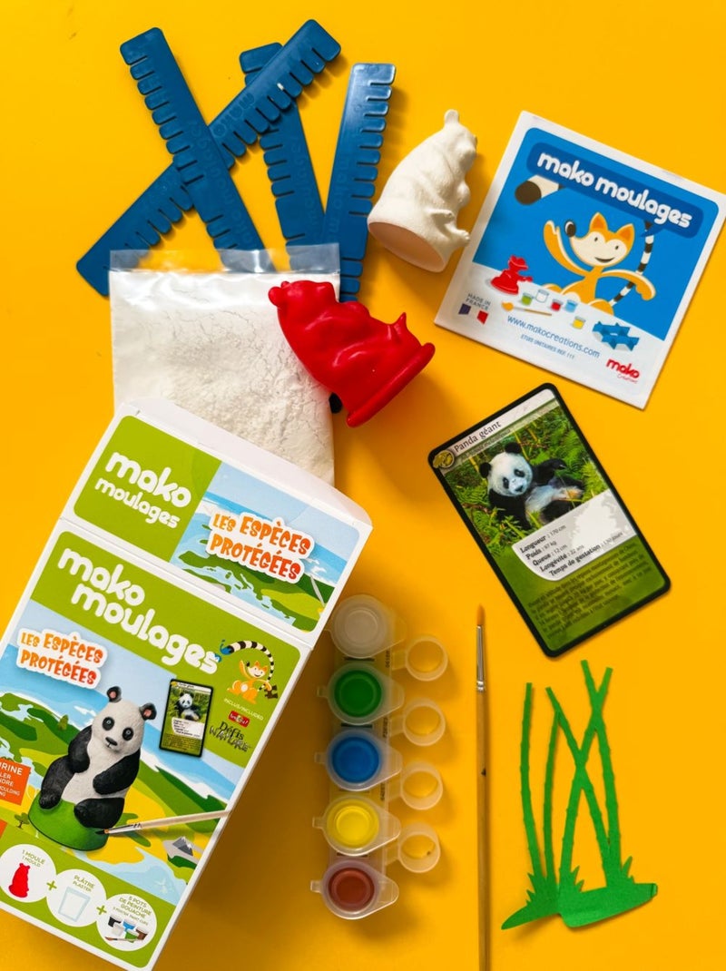 Coffret moulage Panda géant Vert - Kiabi