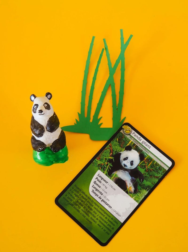 Coffret moulage Panda géant Vert - Kiabi