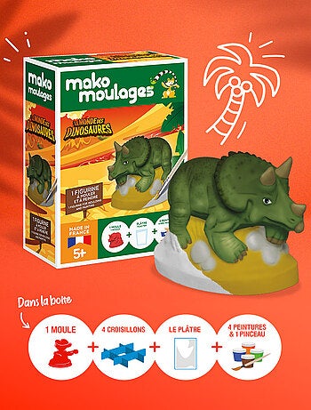 Coffret moulage tricératops