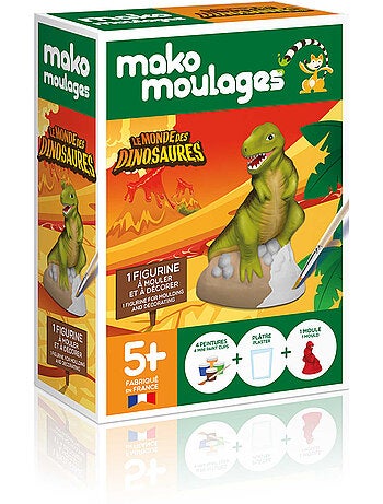 Coffret moulage tyrannosaure