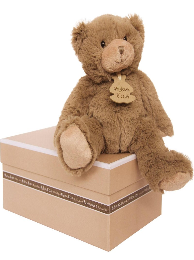 Coffret peluche Calin'ours Les Ours marron (25 cm) Marron - Kiabi