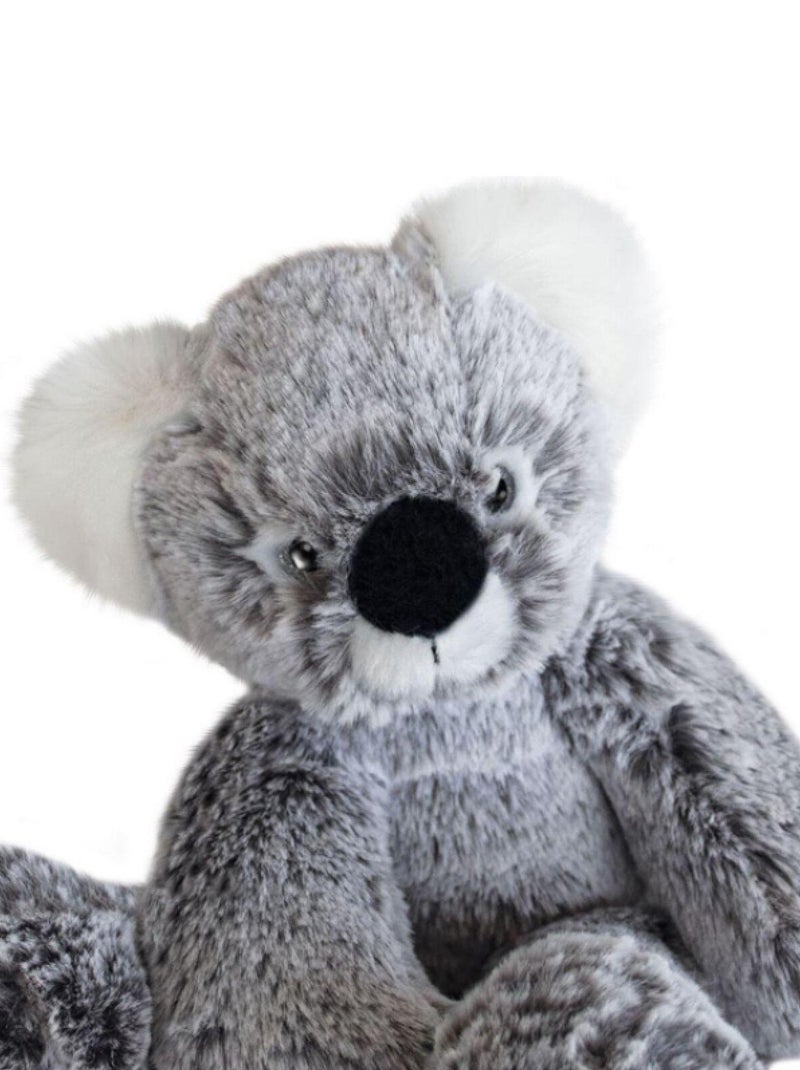 Coffret Peluche Koala Sweety Mousse (25 Cm) Multicolore - Kiabi