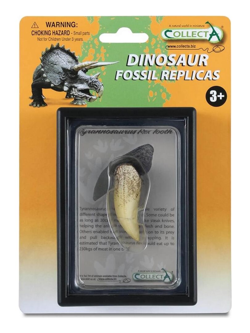 Coffret préhistorique : Dent de Tyrannosaurus Rex (Réplique de fossile) N/A - Kiabi