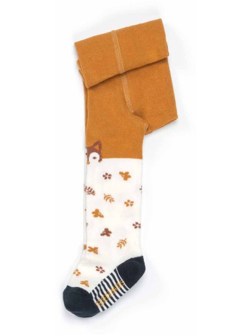 Collants - Terre de Marins - Kiabi