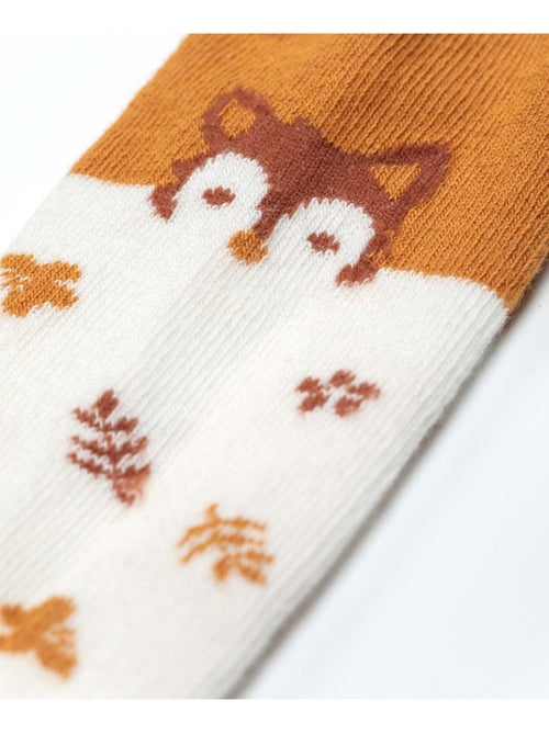 Collants - Terre de Marins - Kiabi