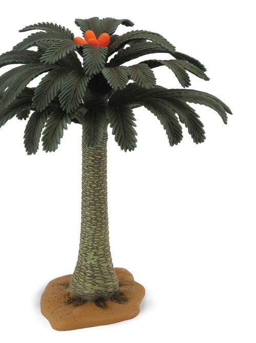 Collecta Arbres : Cycadophyta - Kiabi