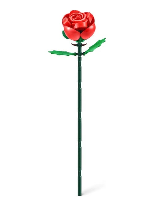 Collection Rose - Kiabi