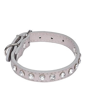 Collier chien strass