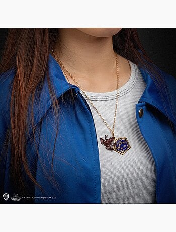 Collier chocogrenouille - harry potter