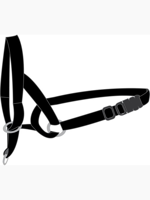 Collier Educatif Easy anti traction - Kiabi