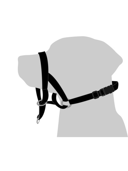 Collier Educatif Easy anti traction - Kiabi