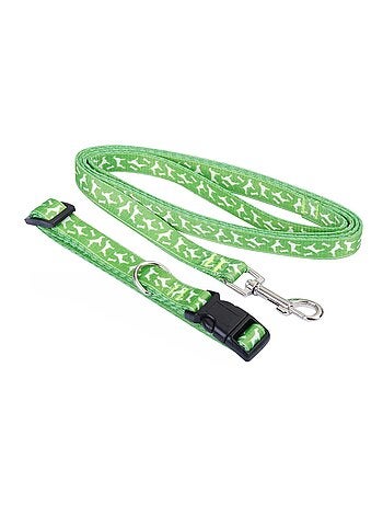 Collier laisse