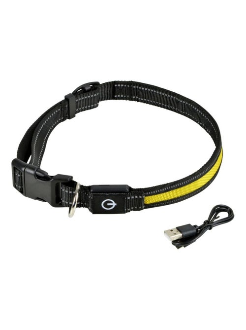 Collier lumineux et réfléchissant - Kiabi