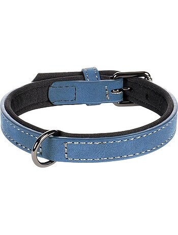 Collier pour chien avec doublure néoprène