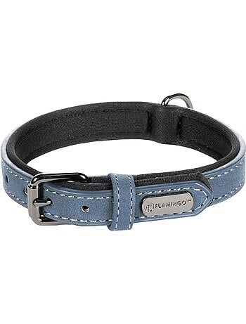 Collier pour chien avec doublure néoprène