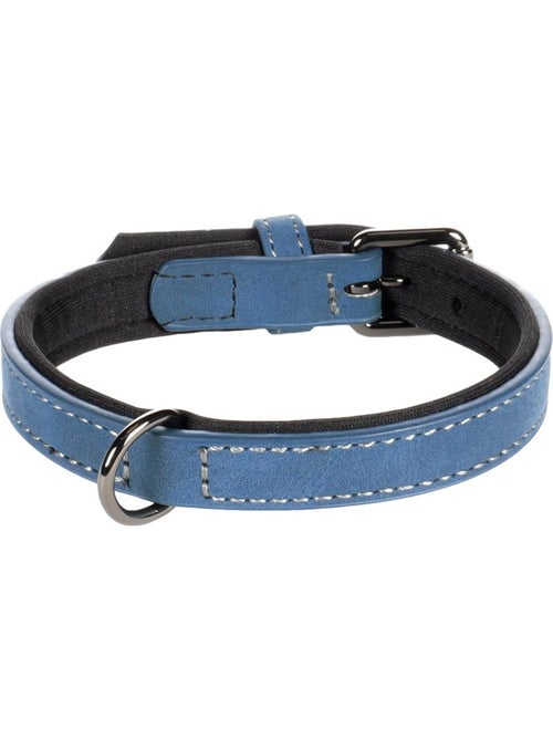 Collier pour chien avec doublure néoprène - Kiabi