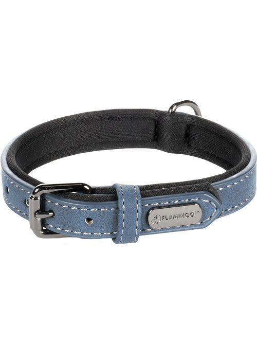 Collier pour chien avec doublure néoprène - Kiabi