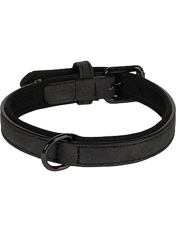 Collier pour chien avec doublure néoprène