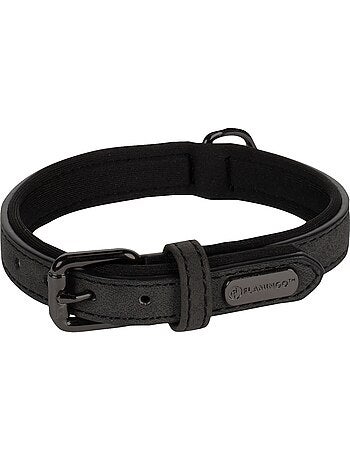 Collier pour chien avec doublure néoprène