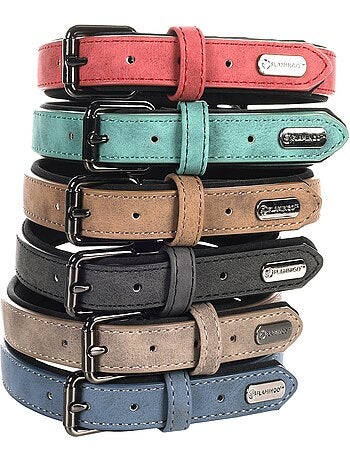 Collier pour chien avec doublure néoprène