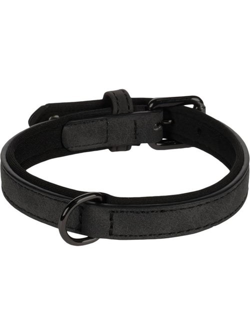 Collier pour chien avec doublure néoprène - Kiabi