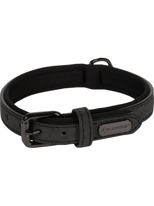 Collier pour chien avec doublure néoprène - Kiabi