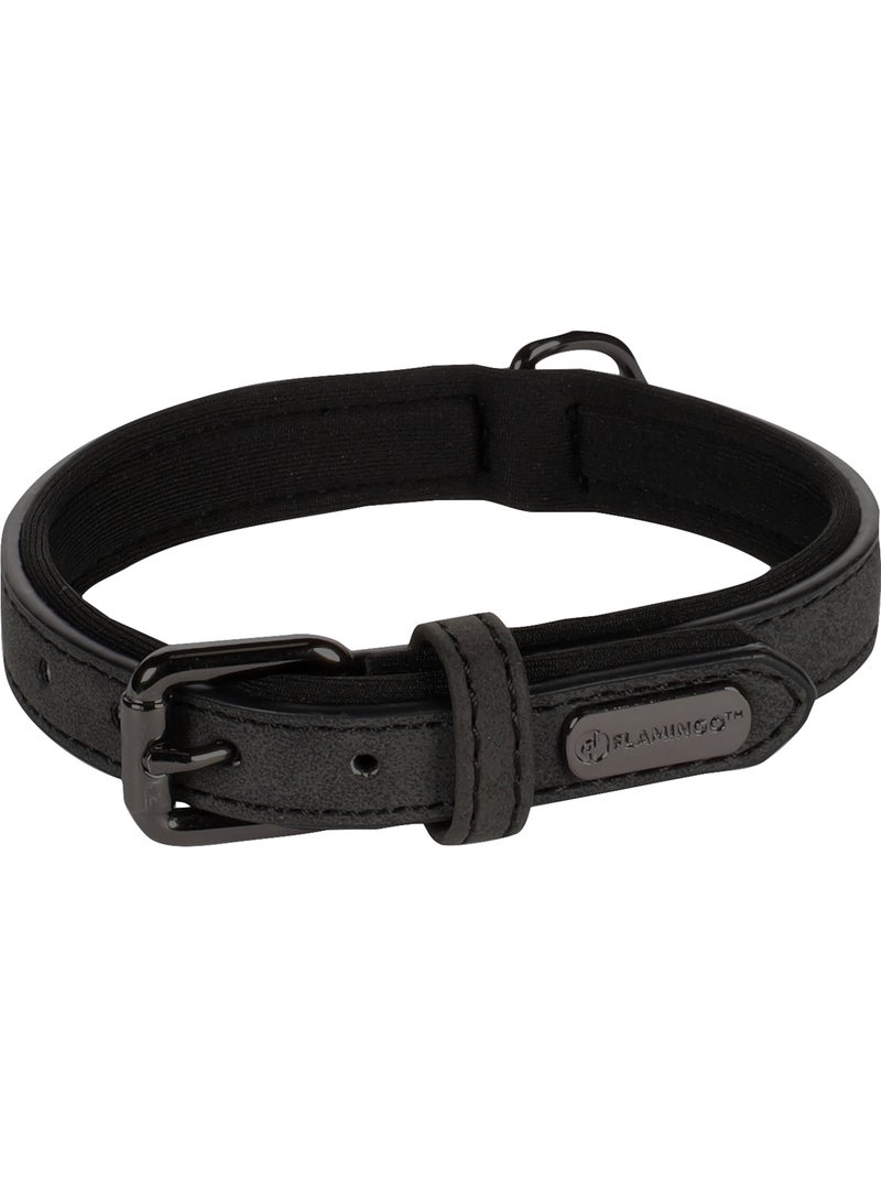 Collier pour chien avec doublure néoprène Noir - Kiabi