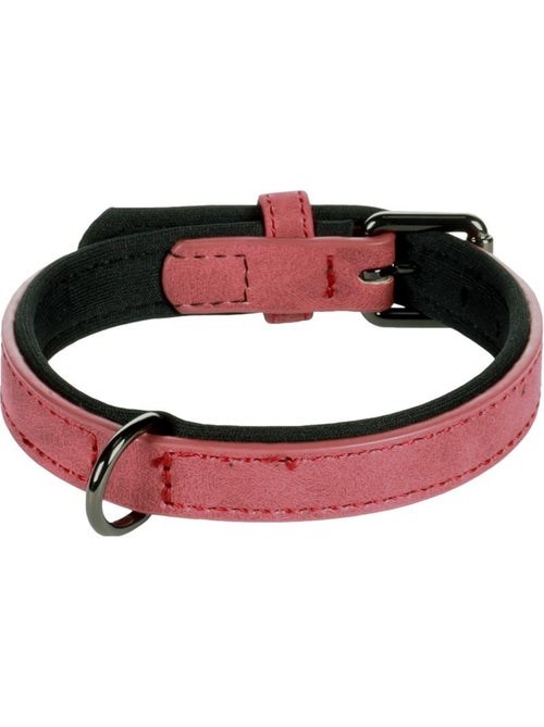 Collier pour chien avec doublure néoprène - Kiabi