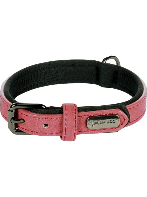 Collier pour chien avec doublure néoprène - Kiabi