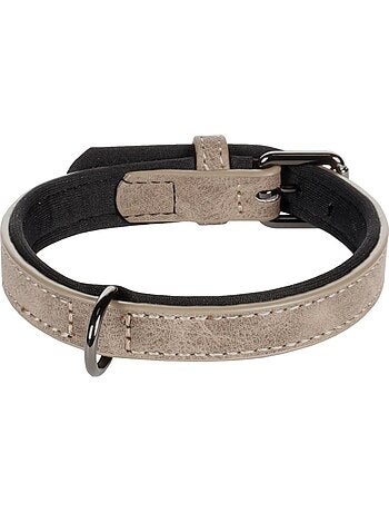 Collier pour chien avec doublure néoprène